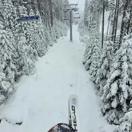 公寓 Cozy With Balcony And Incl In 4-star Saint Ivan Rilski ,