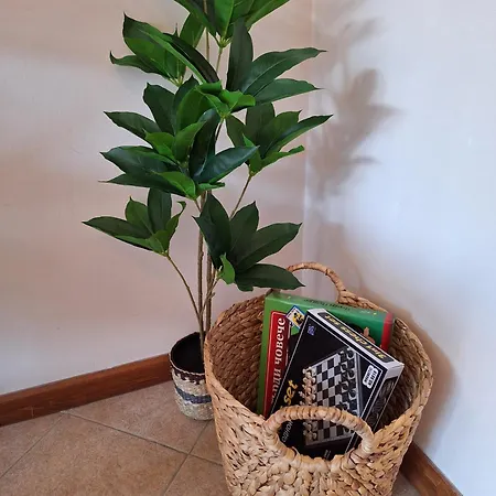 Appartement Cozy With Balcony And Incl In 4-star Saint Ivan Rilski , *