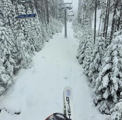 Apartment Cozy With Balcony And Incl In 4-star Saint Ivan Rilski ,