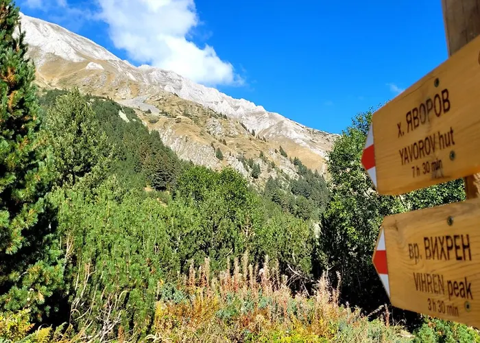 Cozy With Balcony And Incl In 4-star Saint Ivan Rilski , Apartment Bansko